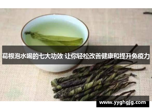 葛根泡水喝的七大功效 让你轻松改善健康和提升免疫力 葛根泡水喝的七大功效 让你轻松改善健康和提升免疫力