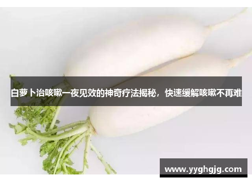 白萝卜治咳嗽一夜见效的神奇疗法揭秘,快速缓解咳嗽不再难 白萝卜治咳嗽一夜见效的神奇疗法揭秘,快速缓解咳嗽不再难