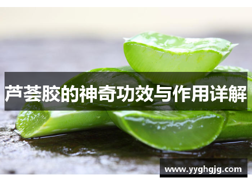 芦荟胶的神奇功效与作用详解