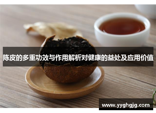 陈皮的多重功效与作用解析对健康的益处及应用价值